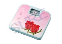 SR-RTZ-317 Mechanical Bathroom Scale 